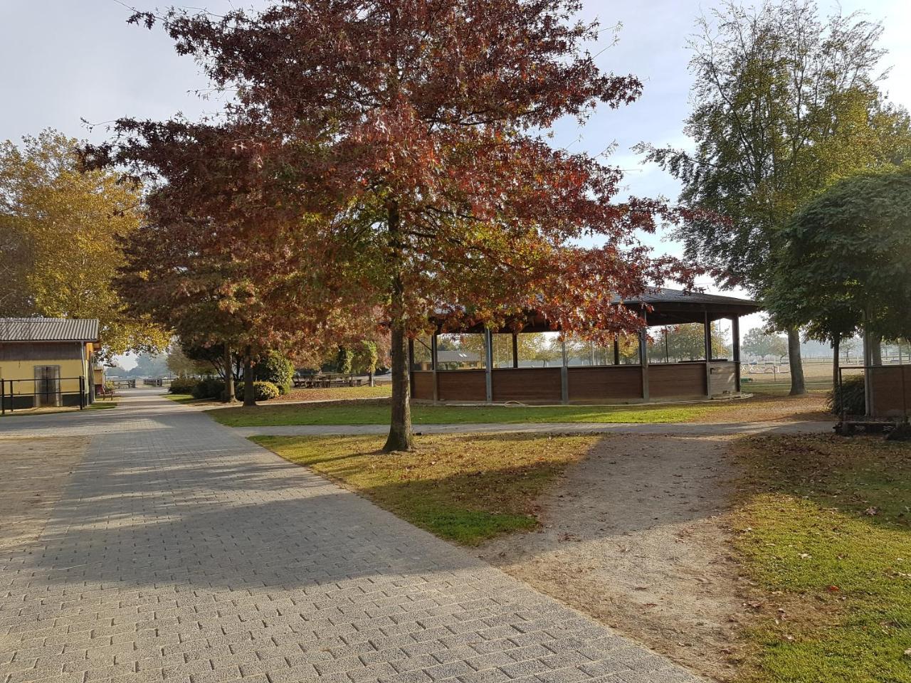 קרפלד Apartments Luisenhof מראה חיצוני תמונה